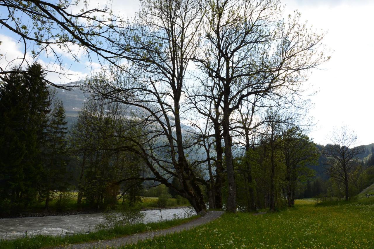 Pension Alpenblick Steeg Esterno foto